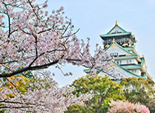 kaiyun开云体育官方入口-瑞典国脚正式加盟大连人 他将成为卡拉斯科替代者